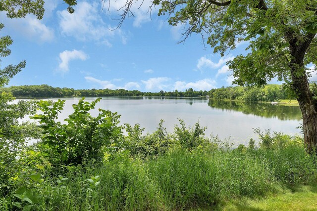 13245 Endicott Dr NW, Clearwater, MN 55320 - photo 56