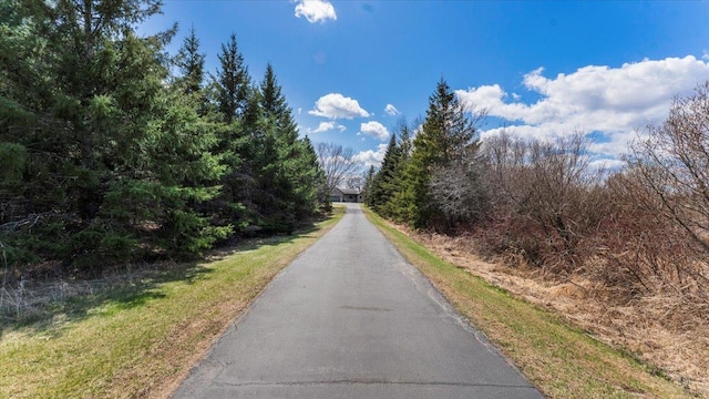view of street featuring aphalt driveway