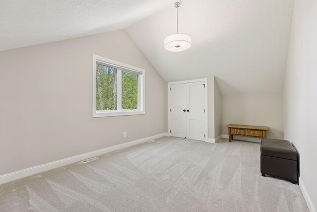 1929 Fagerness Point Rd, Orono, MN 55391 - additional living space featuring lofted ceiling, light carpet, and baseboards