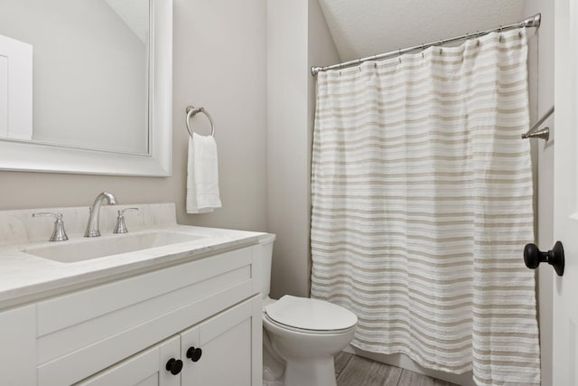 1929 Fagerness Point Rd, Orono, MN 55391 - full bathroom featuring a textured ceiling, vanity, toilet, and curtained shower