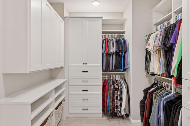 1929 Fagerness Point Rd, Orono, MN 55391 - walk in closet with light carpet