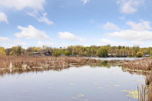 1929 Fagerness Point Rd, Orono, MN 55391 - water view