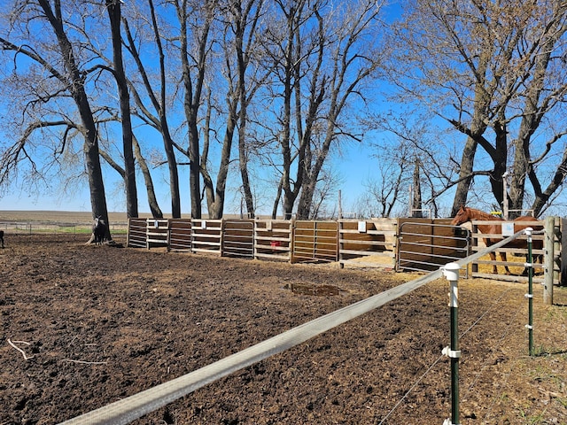 12405 State Highway 91, Leota Twp, MN 56155 - view of yard with a view of countryside