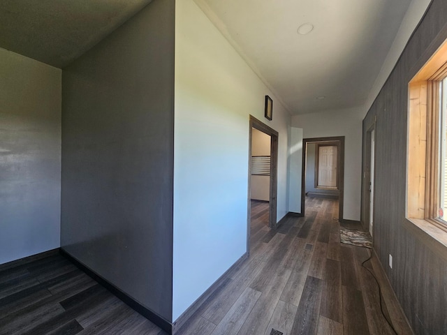 12405 State Highway 91, Leota Twp, MN 56155 - corridor with dark wood finished floors