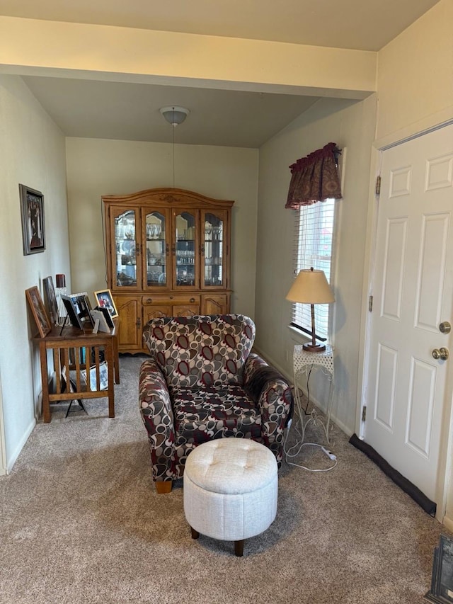 sitting room featuring carpet floors and baseboards
