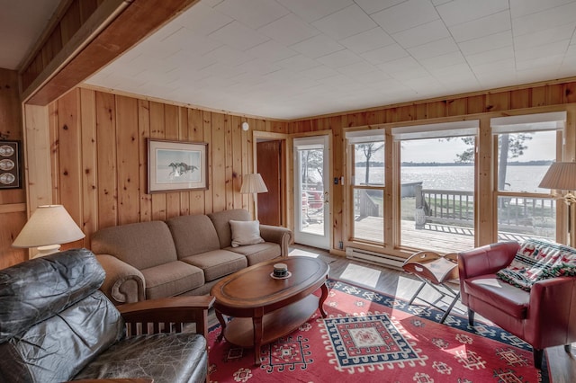 living room with wood walls and a baseboard radiator