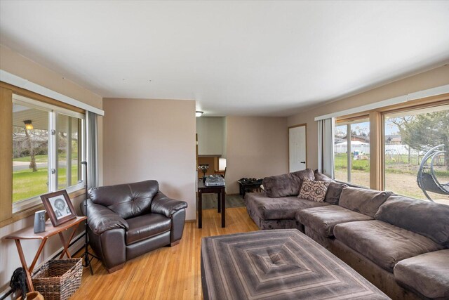 living room with light wood-type flooring