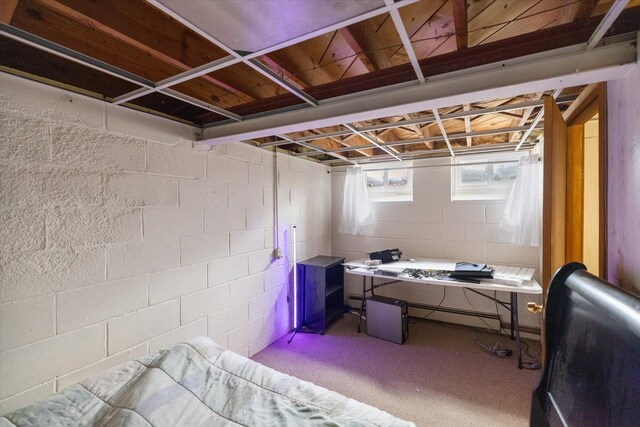 below grade area with carpet flooring and a baseboard heating unit