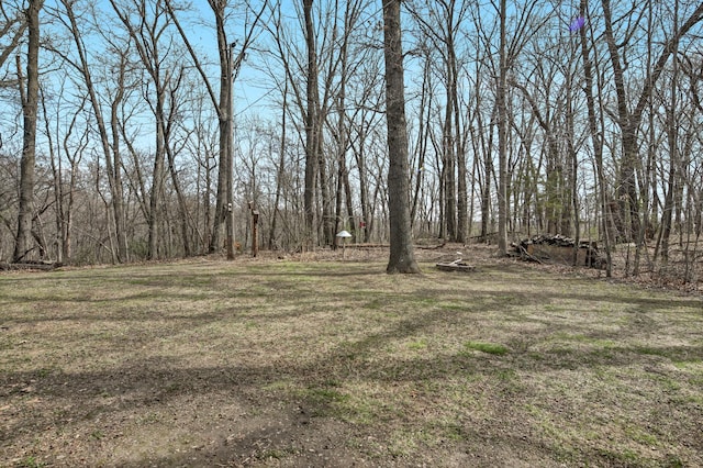 view of yard featuring a wooded view