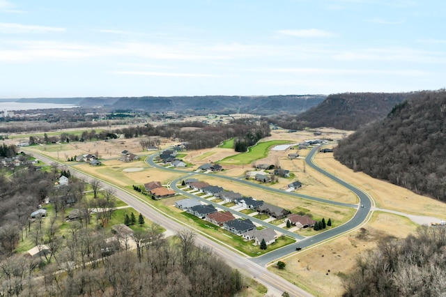 bird's eye view