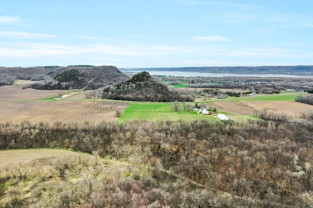 73466 318th Ave, Lake City, MN 55041 - view of mountain background