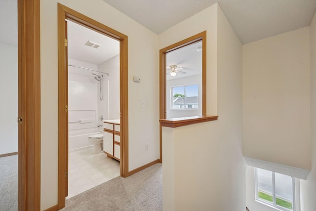 9110 Terra Verde Trl, Eden Prairie, MN 55347 - corridor with light colored carpet and baseboards
