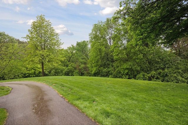 9110 Terra Verde Trl, Eden Prairie, MN 55347 - view of street featuring a wooded view