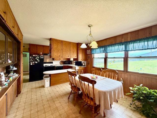 15497 Meiners Rd, Mayville Twp, MN 55921 - dining space featuring light flooring, wood walls, a textured ceiling, and a chandelier