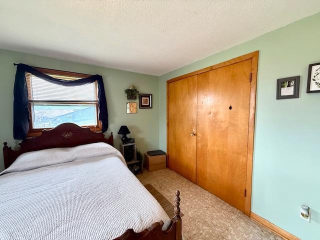 15497 Meiners Rd, Mayville Twp, MN 55921 - bedroom with a closet and a textured ceiling