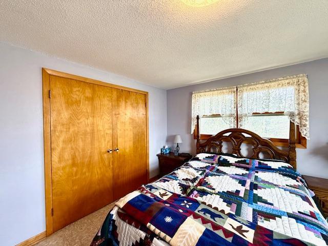 15497 Meiners Rd, Mayville Twp, MN 55921 - bedroom with a textured ceiling, carpet flooring, and a closet