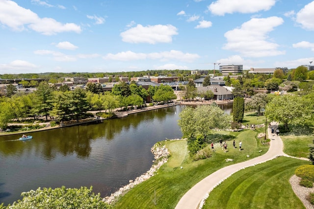 7540 Edinborough Way Unit 1319, Edina, MN 55435 - bird's eye view of a large body of water and a tree filled landscape