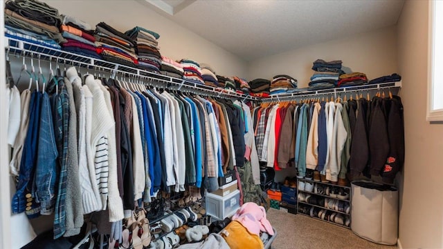 walk in closet with carpet flooring