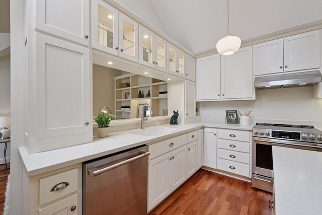 205 Mill St Unit S301, Excelsior, MN 55331 - kitchen featuring appliances with stainless steel finishes, under cabinet range hood, a sink, and wood finished floors
