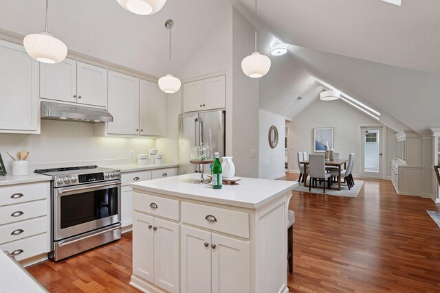 205 Mill St Unit S301, Excelsior, MN 55331 - kitchen featuring appliances with stainless steel finishes, under cabinet range hood, lofted ceiling, light wood-type flooring, and light countertops
