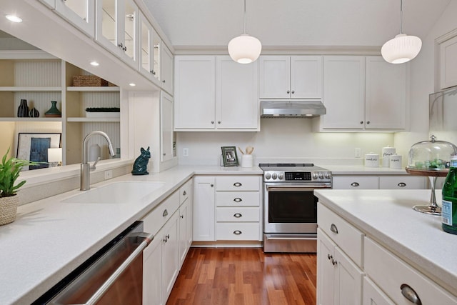205 Mill St Unit S301, Excelsior, MN 55331 - kitchen with stainless steel appliances, under cabinet range hood, a sink, white cabinetry, and wood finished floors