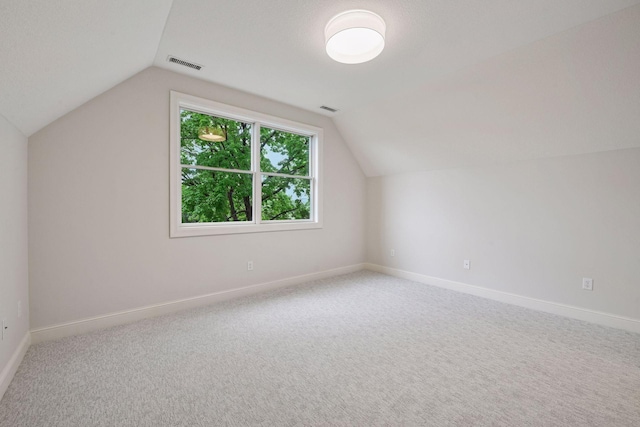 205 Mill St Unit S301, Excelsior, MN 55331 - bonus room with lofted ceiling, baseboards, and carpet floors