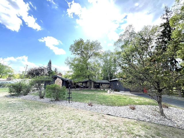 view of grassy yard