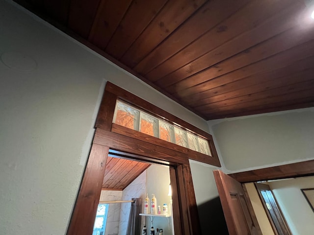 detailed view of wood ceiling