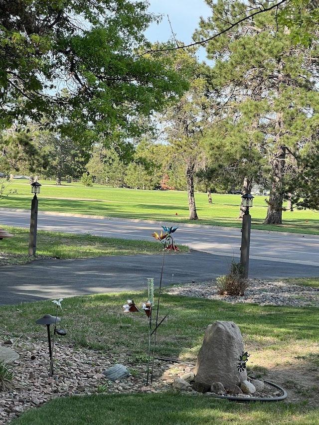 view of street with view of wooded area
