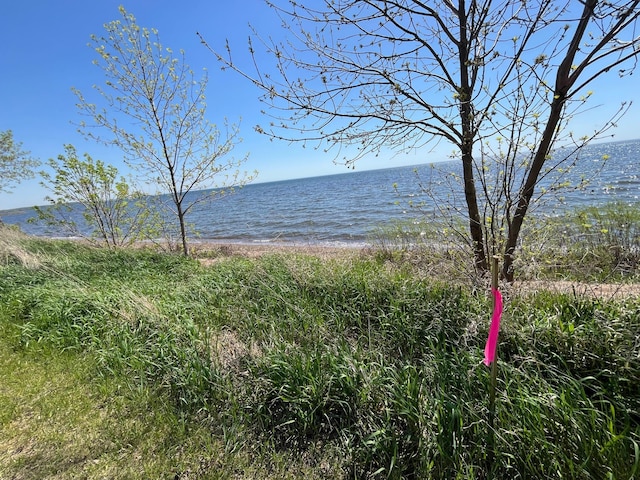 10151 US Highway 169, Garrison, MN 56450 - water view