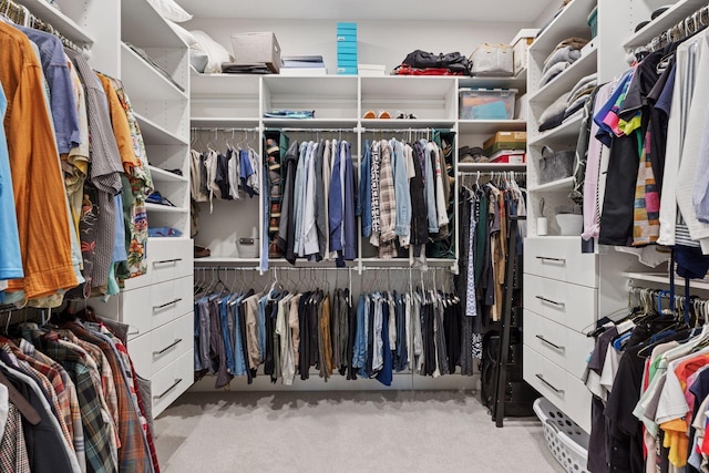 spacious closet with carpet