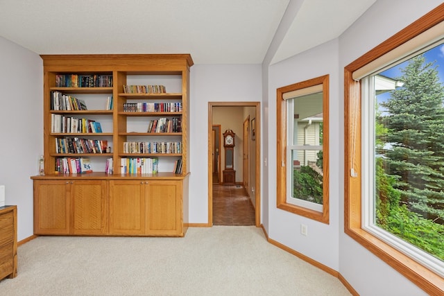 813 Quie Ln, Northfield, MN 55057 - hall featuring light carpet and baseboards