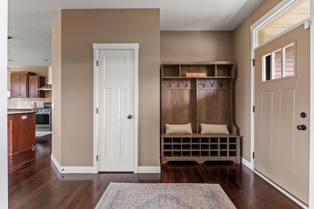 7387 Old Mill Rd, Centerville, MN 55038 - mudroom with dark wood-style flooring