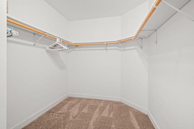 7387 Old Mill Rd, Centerville, MN 55038 - spacious closet with carpet