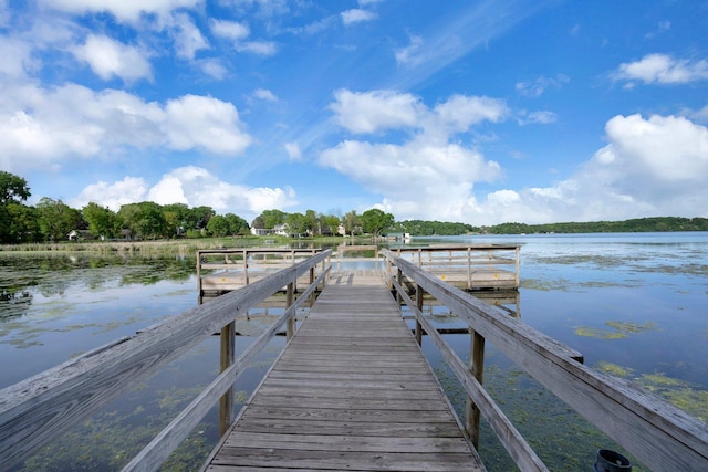 dock area with a water view