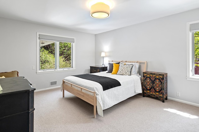 4721 Lake Harriet Pkwy, Minneapolis, MN 55419 - bedroom featuring carpet and baseboards