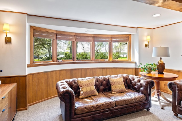 4721 Lake Harriet Pkwy, Minneapolis, MN 55419 - living room featuring light colored carpet, a wainscoted wall, wood walls, and crown molding