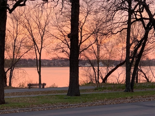 4721 Lake Harriet Pkwy, Minneapolis, MN 55419 - water view
