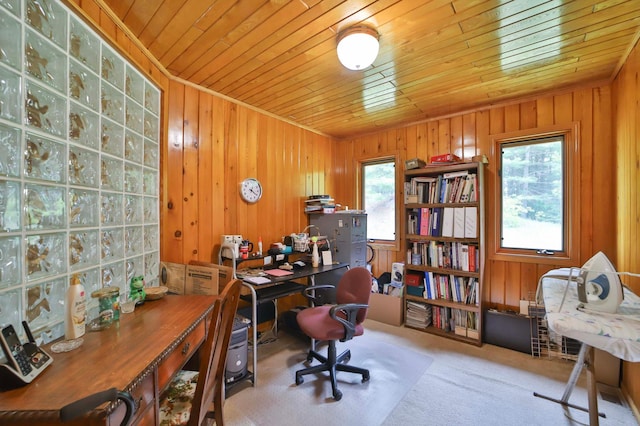 7717 Lake May Rd NW, Walker, MN 56433 - home office featuring wood ceiling, healthy amount of natural light, wood walls, and carpet floors
