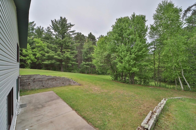 7717 Lake May Rd NW, Walker, MN 56433 - view of green lawn with a patio