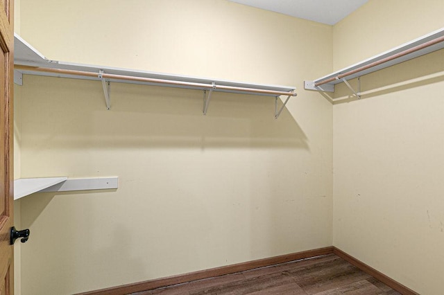 spacious closet featuring wood finished floors