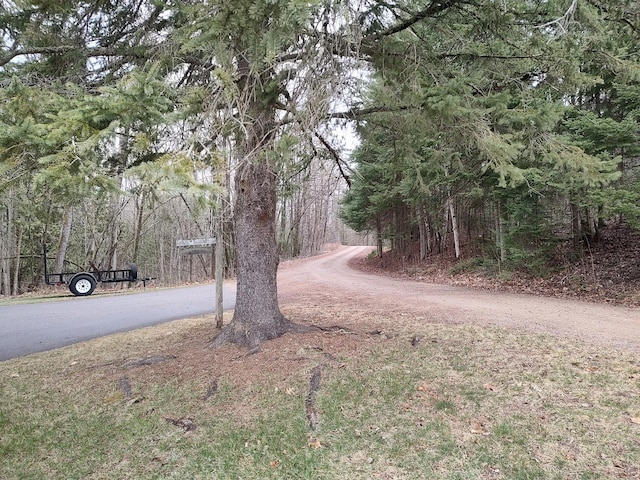view of road featuring a wooded view