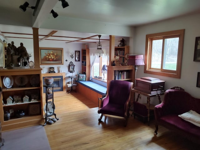 living area featuring light wood-type flooring and plenty of natural light