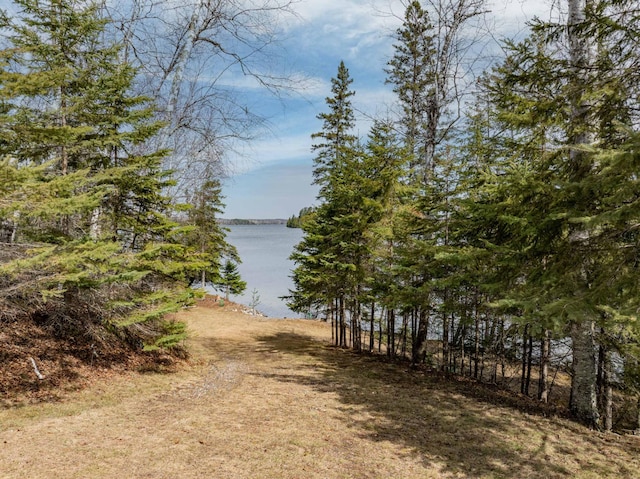 property view of water