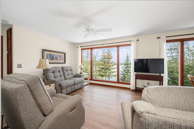 living area featuring a ceiling fan, a wealth of natural light, and light wood-style floors