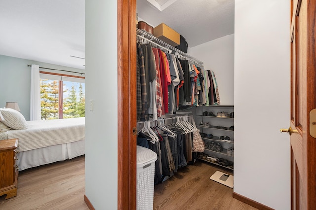 walk in closet featuring wood finished floors