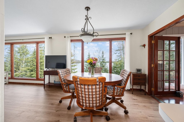 dining space with wood finished floors