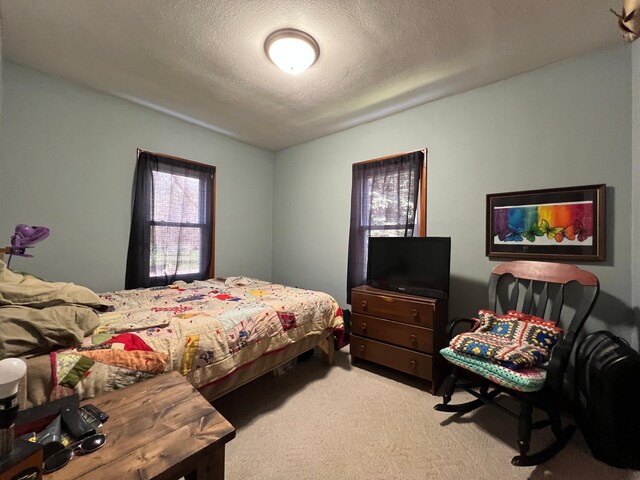 bedroom with carpet and a textured ceiling