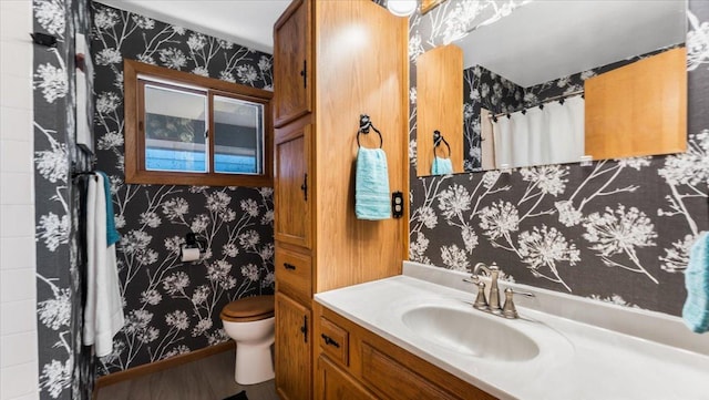 7355 Little Mary Cir SW, Alexandria, MN 56308 - full bath featuring toilet, wallpapered walls, vanity, and wood finished floors