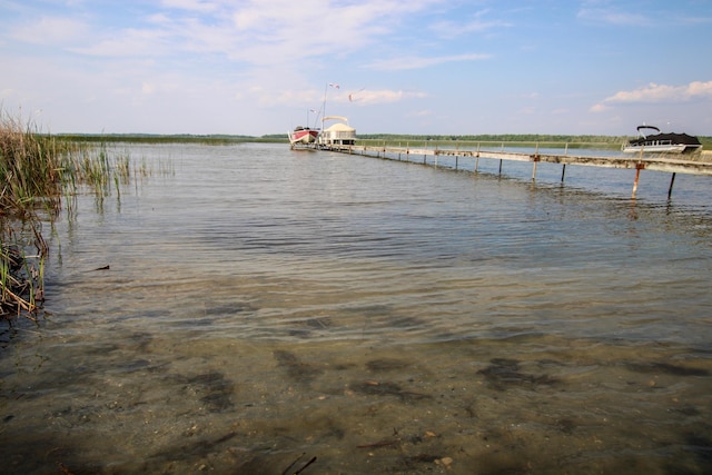 7355 Little Mary Cir SW, Alexandria, MN 56308 - water view featuring a dock
